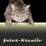 www.fotos-kreativ.de
